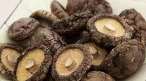 香菇價格行情為何波動大？菇農和批發商都值得了解